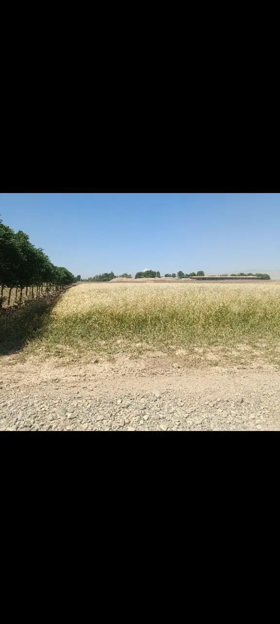 زمین کشاورزی مناسب سرمایه گذاری