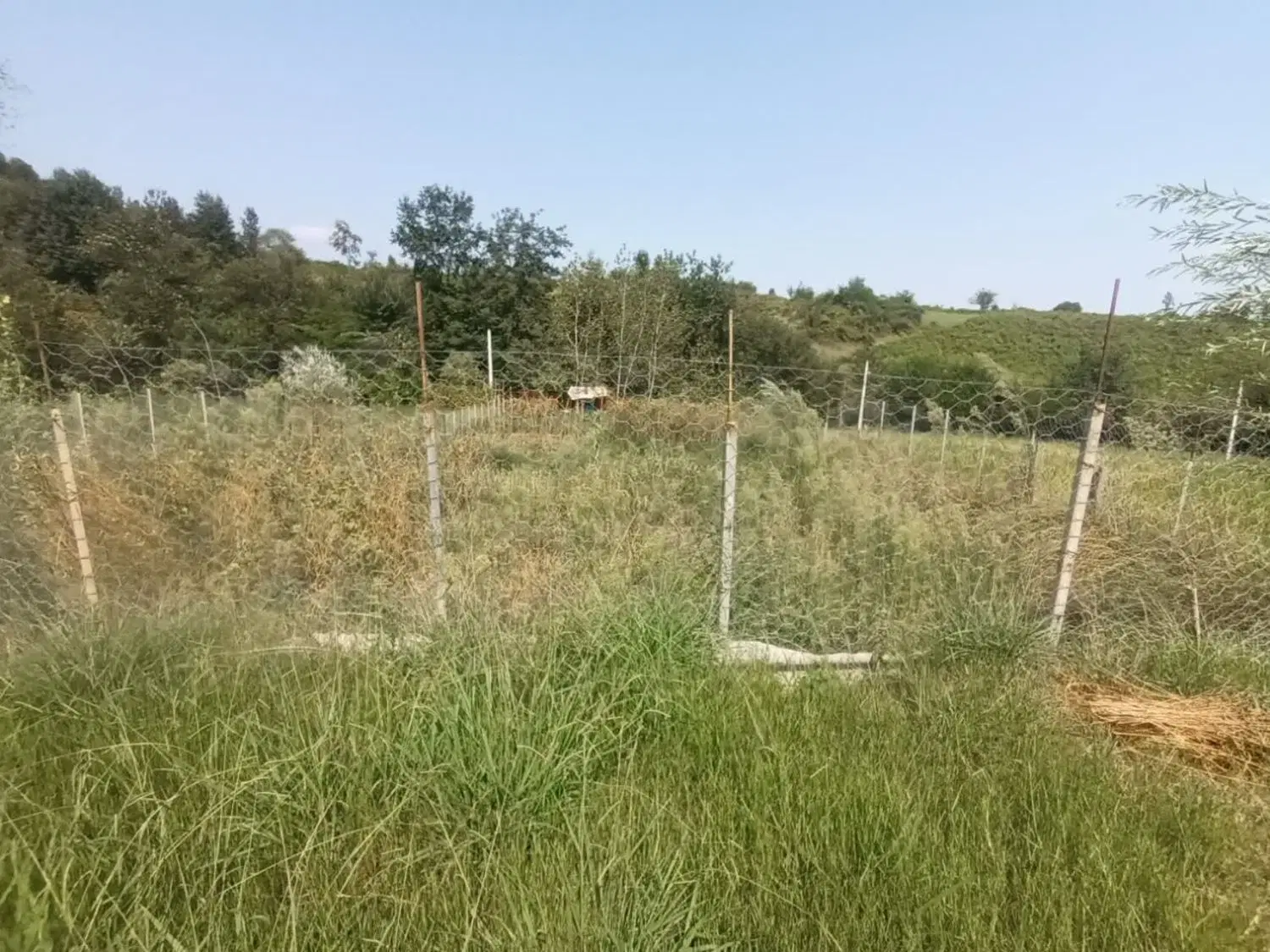 فروش زمین برِ خیابان
