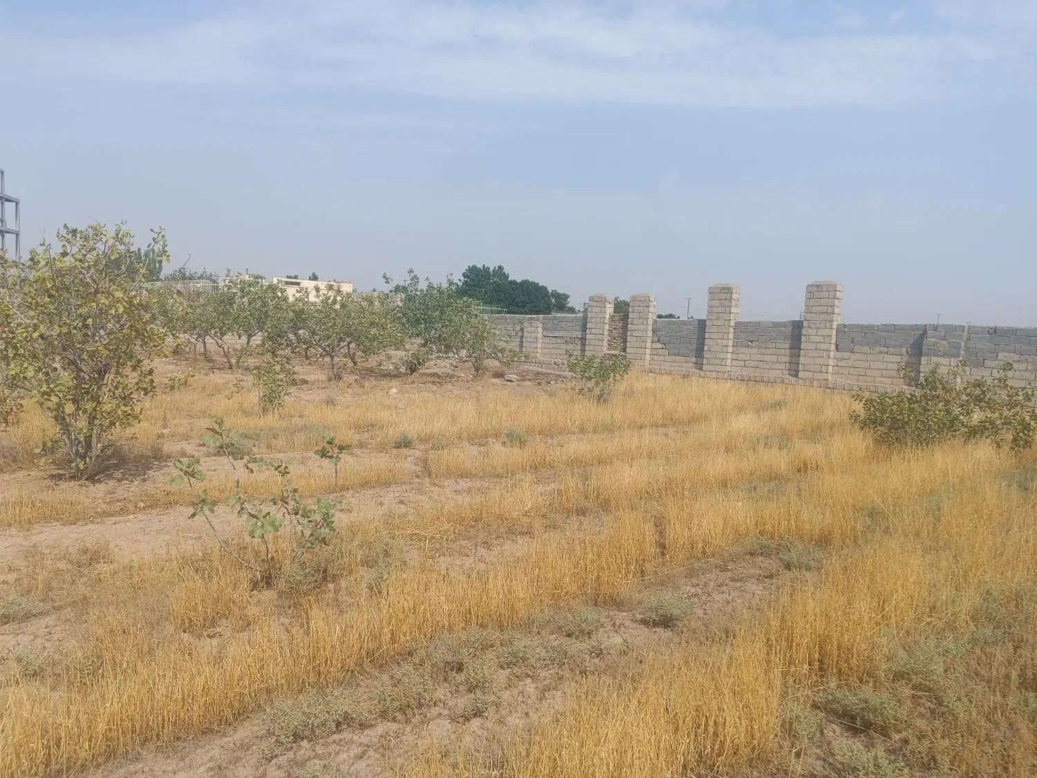 زمین