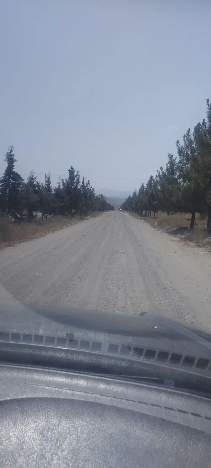 حاشیه ۲۲ متری باغستان ثامن