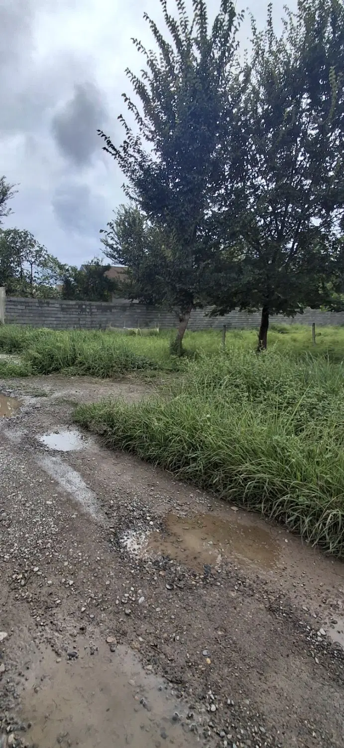فروش زمین مسکونی ۲۵۰متربردواسفالت روستایی سنگر