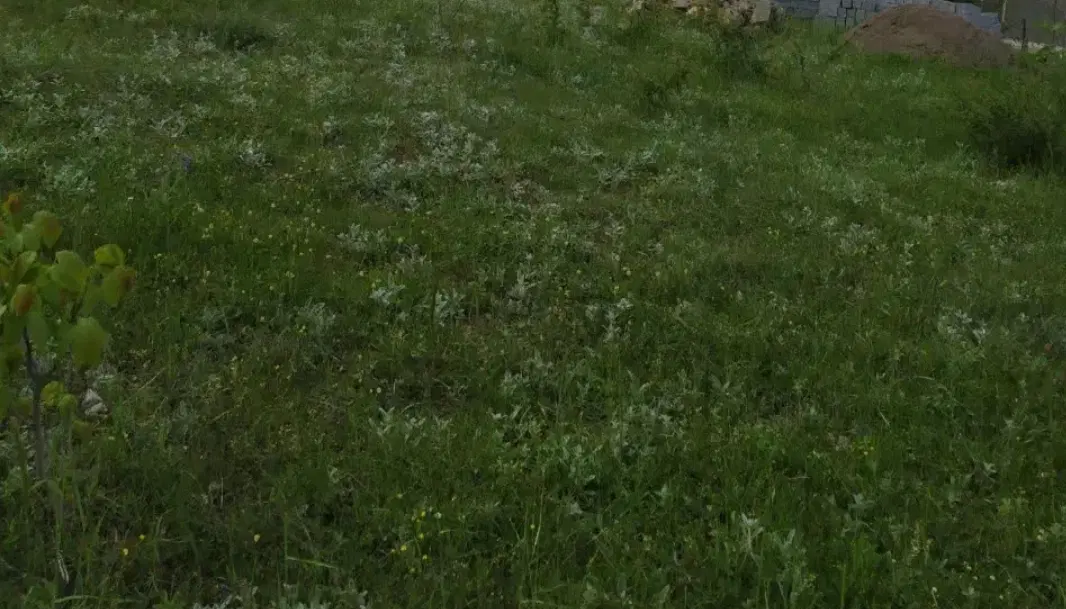 سه هزارمتر زمین بین روستای دره پهن و دره بازار