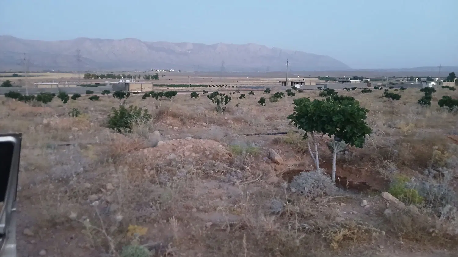 باغ انجیر