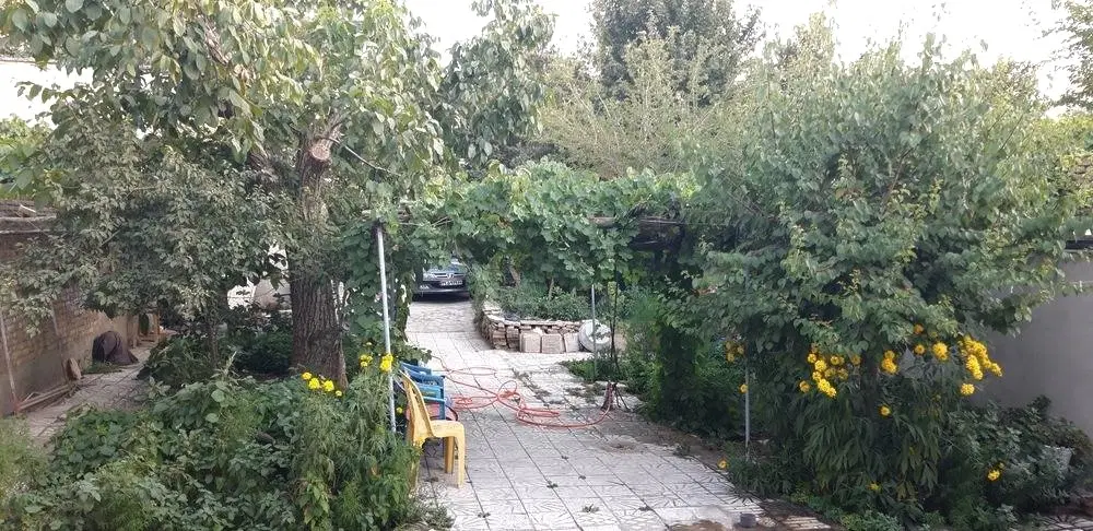 ۳۸۸متر زمین دارای خانه قدیمی