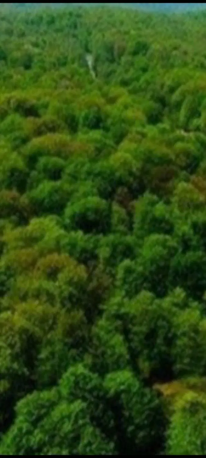 معاوضه
