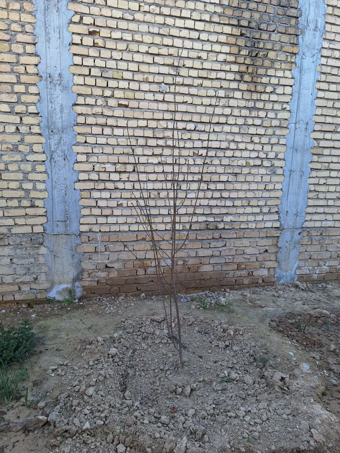 فروش واحد مسکونی استادیوم