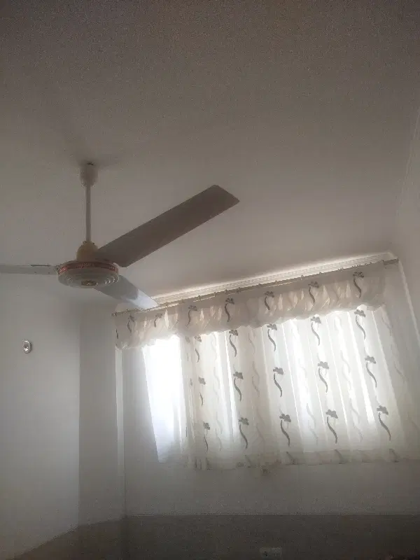 اجاره زیرزمین بلوار دشتی