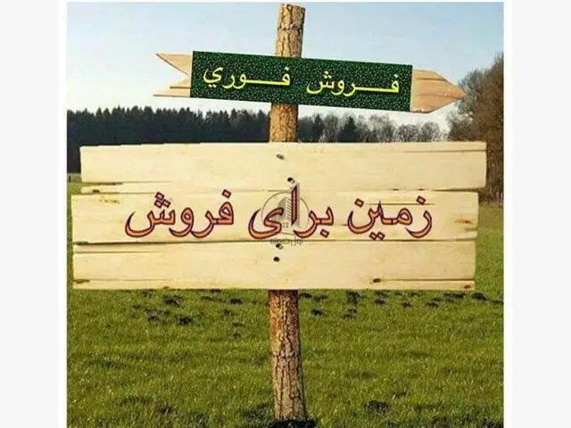 5هزارمتر زمین تجاری