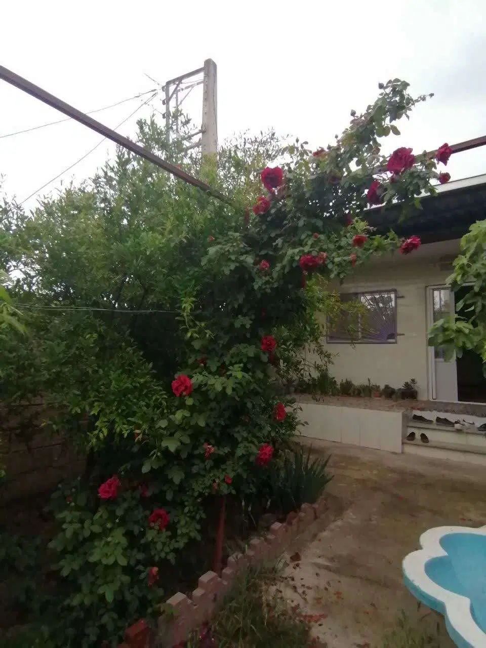 خونه ویلایی