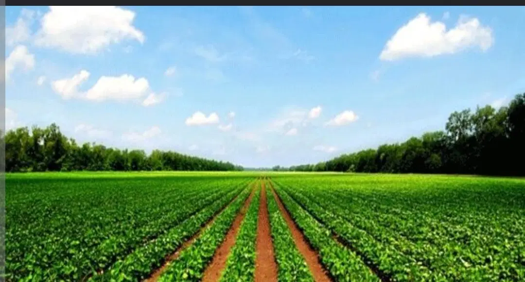 ۳۵۰۰متر زمین کشاورزی
