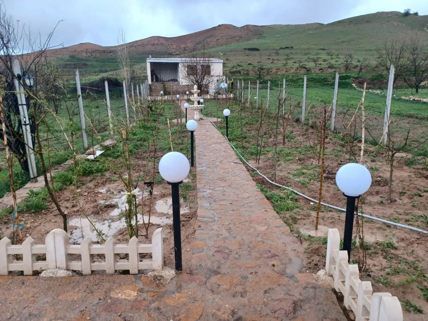 باغ ویلا