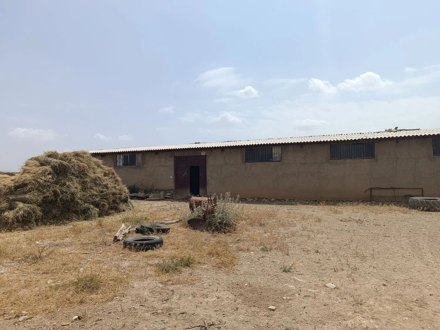 گاوداری ۶۰۰ متر سالن