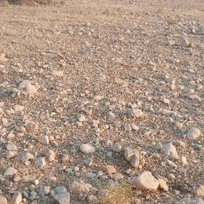 فروش زمین مسکونی لیکک
