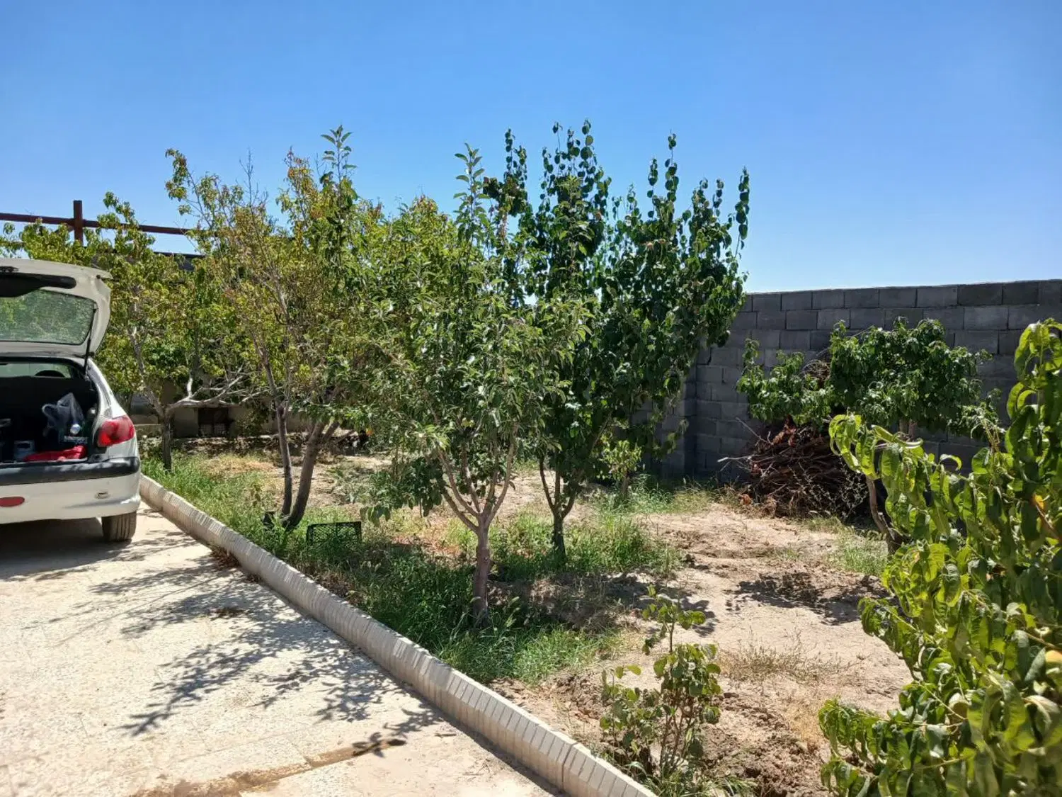 ۲۳۰۰ متر بلوک کامل باغستان حاشیه ۳۰ متری ثامن
