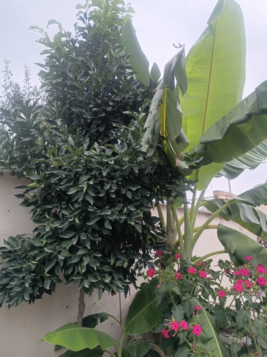 خونه ویلایی درگرگان