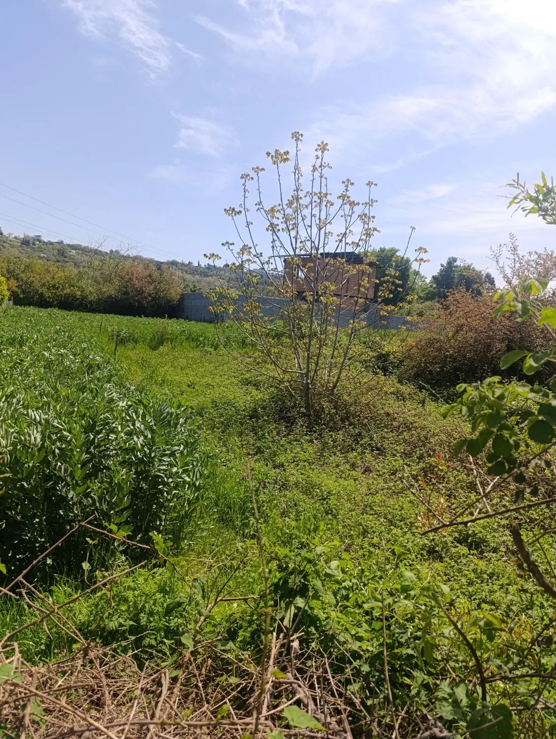 فروش زمین