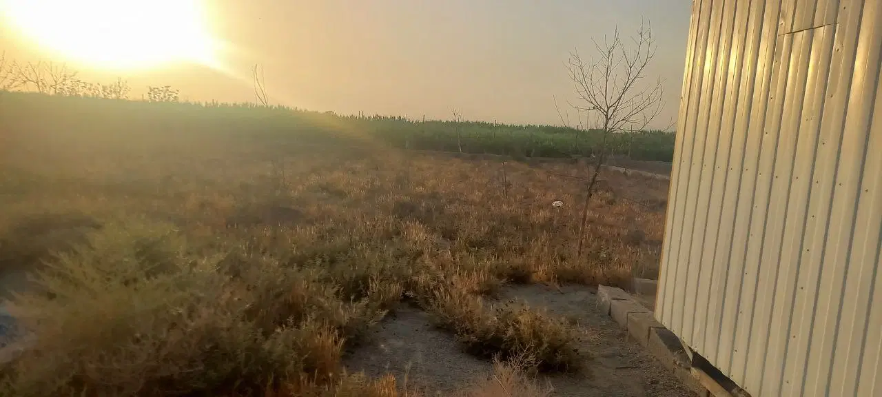 زمین کشاورزی وباغ
