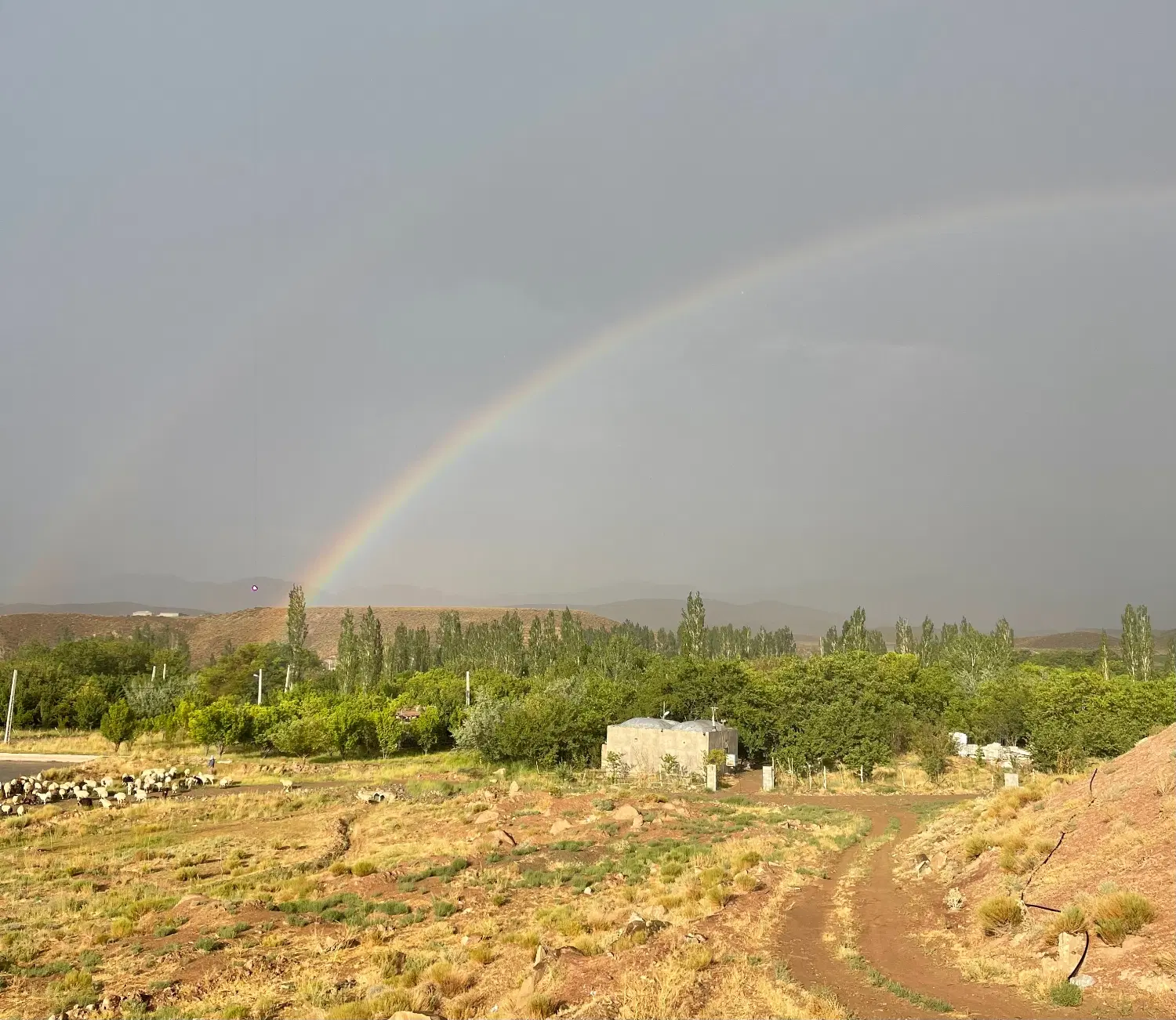 زمین در ساردوئیه