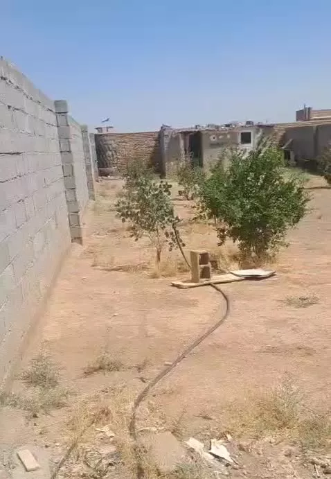 زمین دور دیوار محمود آباد صفا دشت