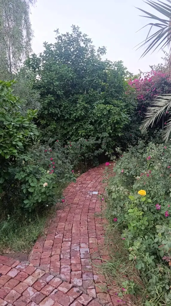 باغ در بنه ملااحمد روبروی بنه اخند