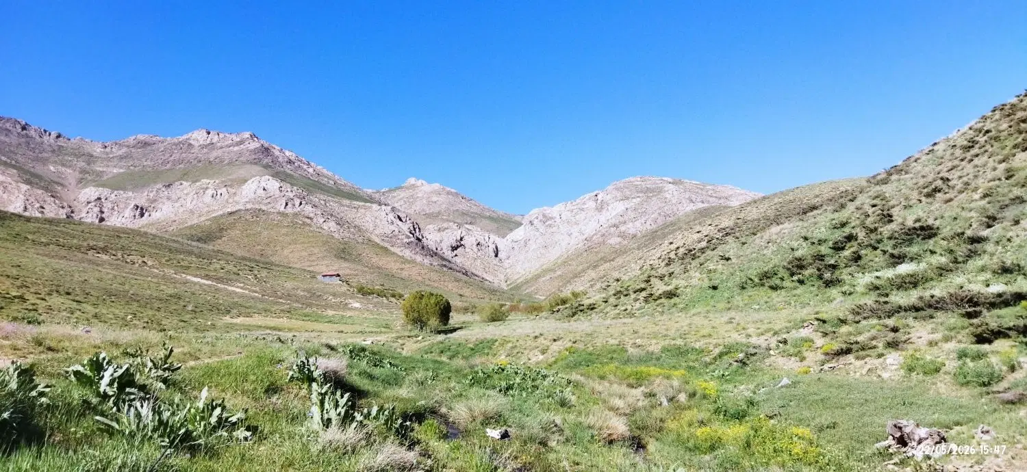 تجاری زمین