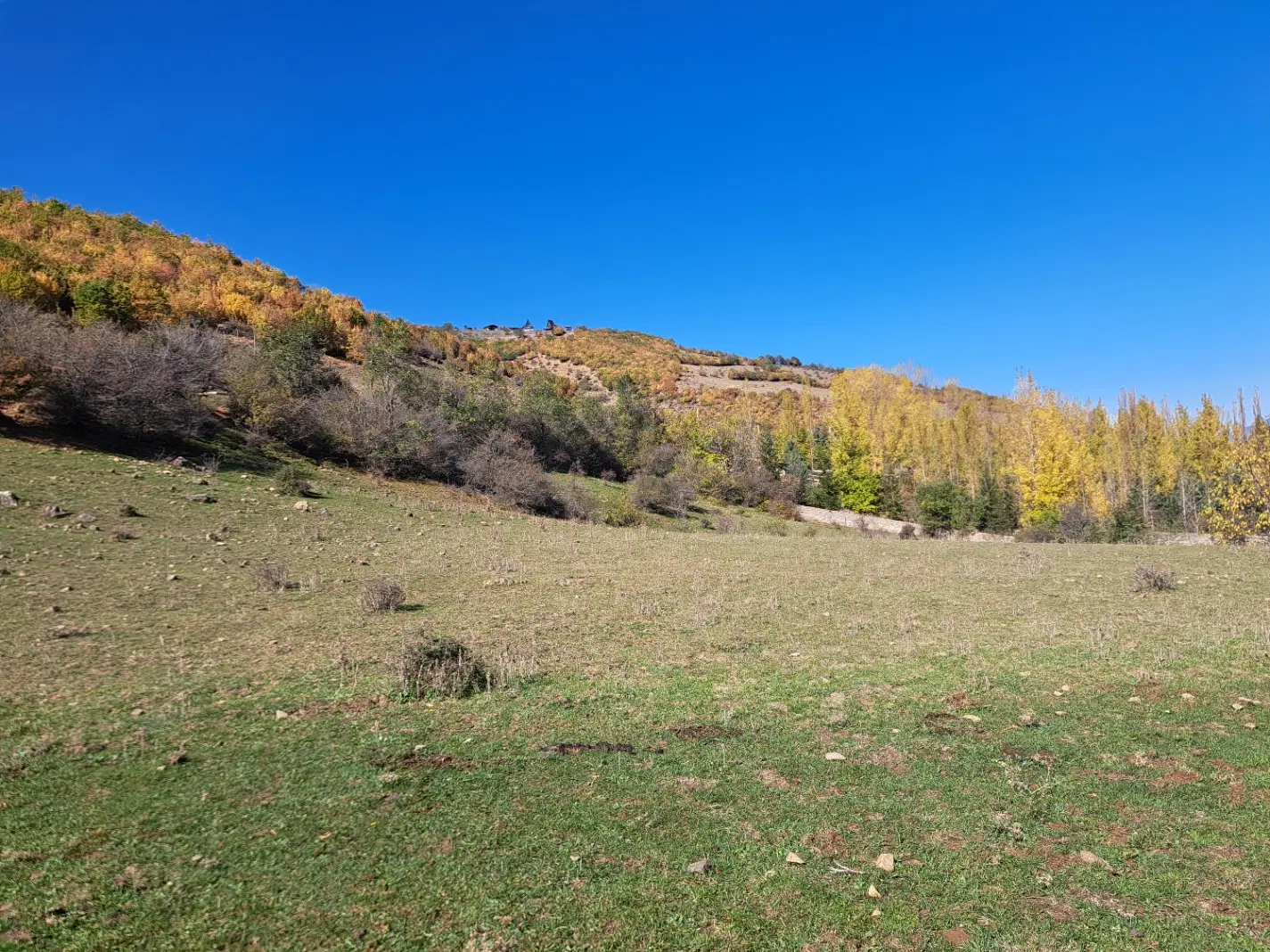 فروش زمین در روستای کندلوس