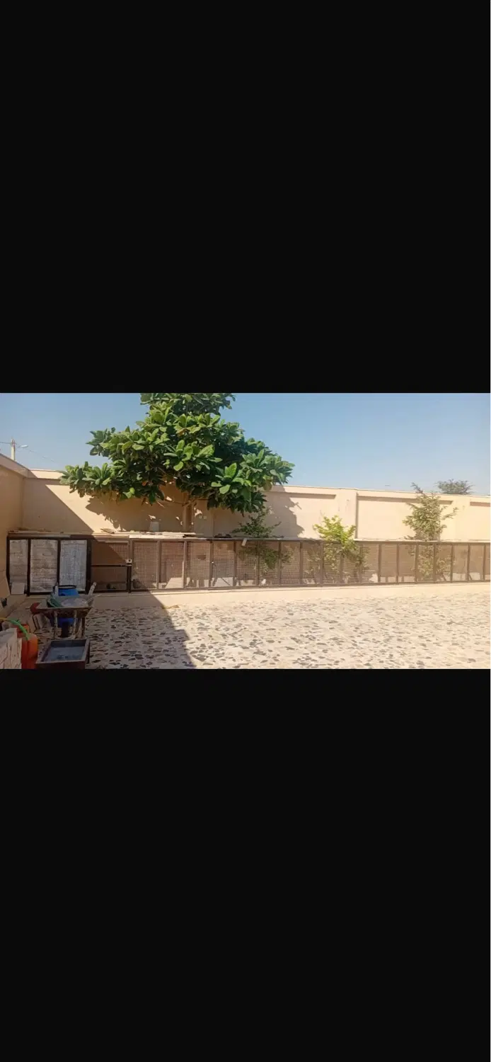 فروش زمین _دوبر شمالی_ازادگان