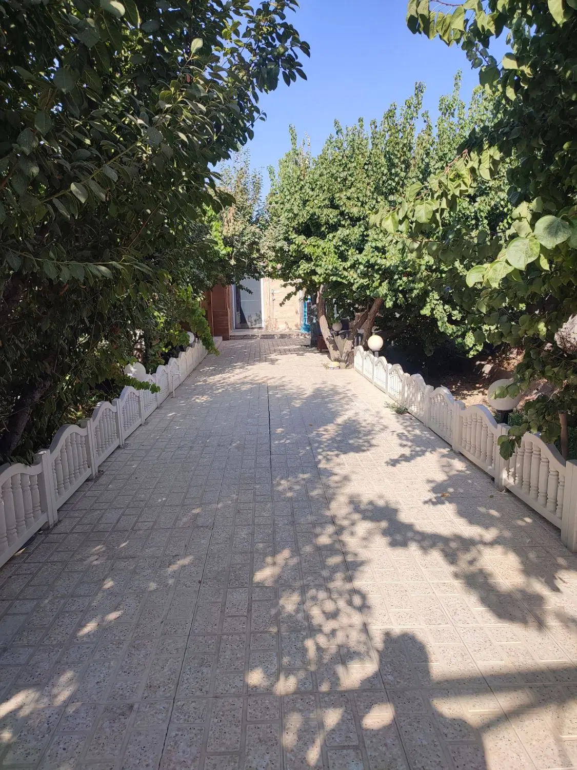 باغ ویلا اجاره امروز خالی دارم