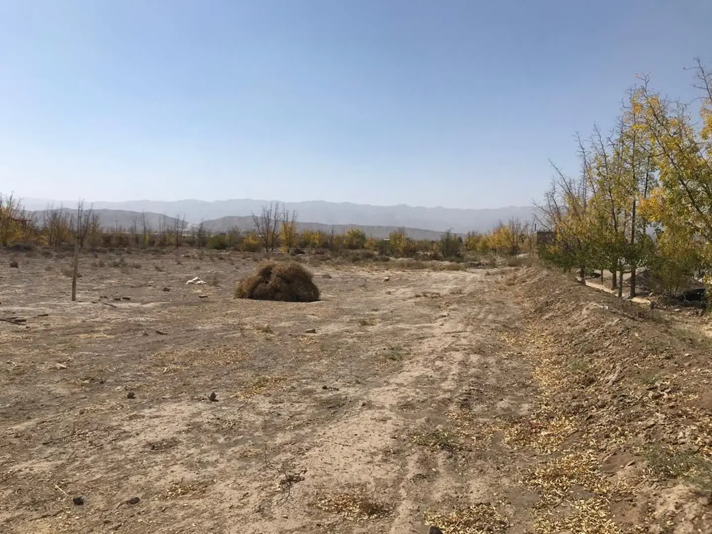 زمین در دشت بجد