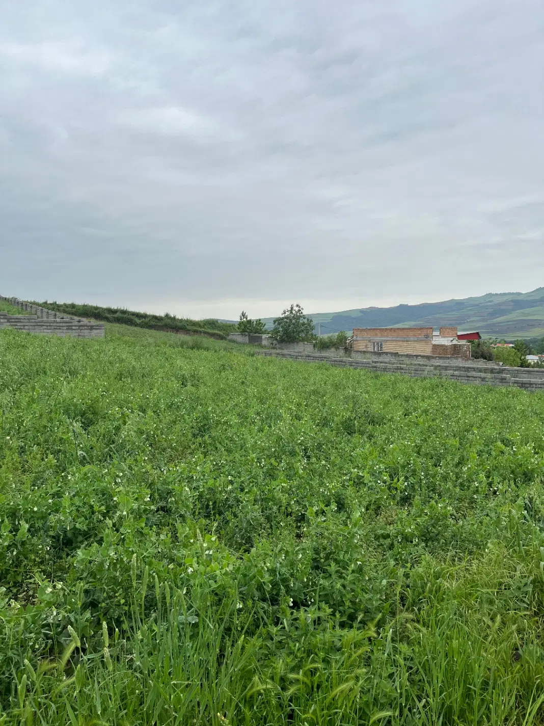 گلیداغ زمین ویلایی