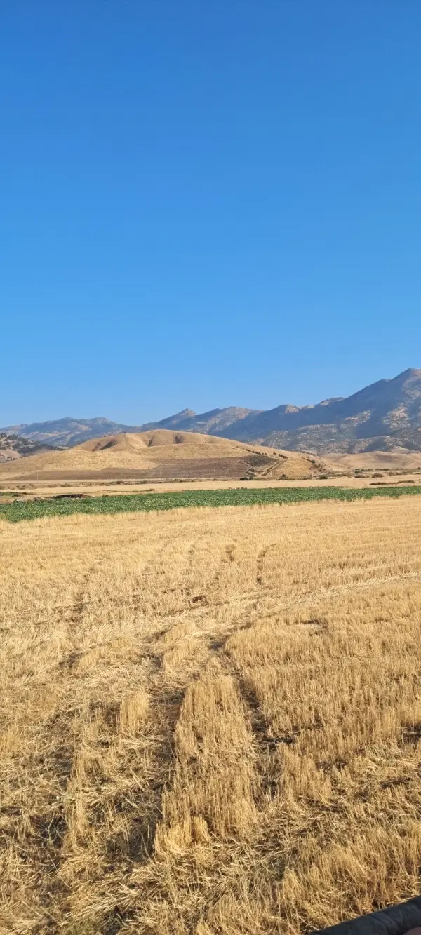 فروش زمین مسکونی