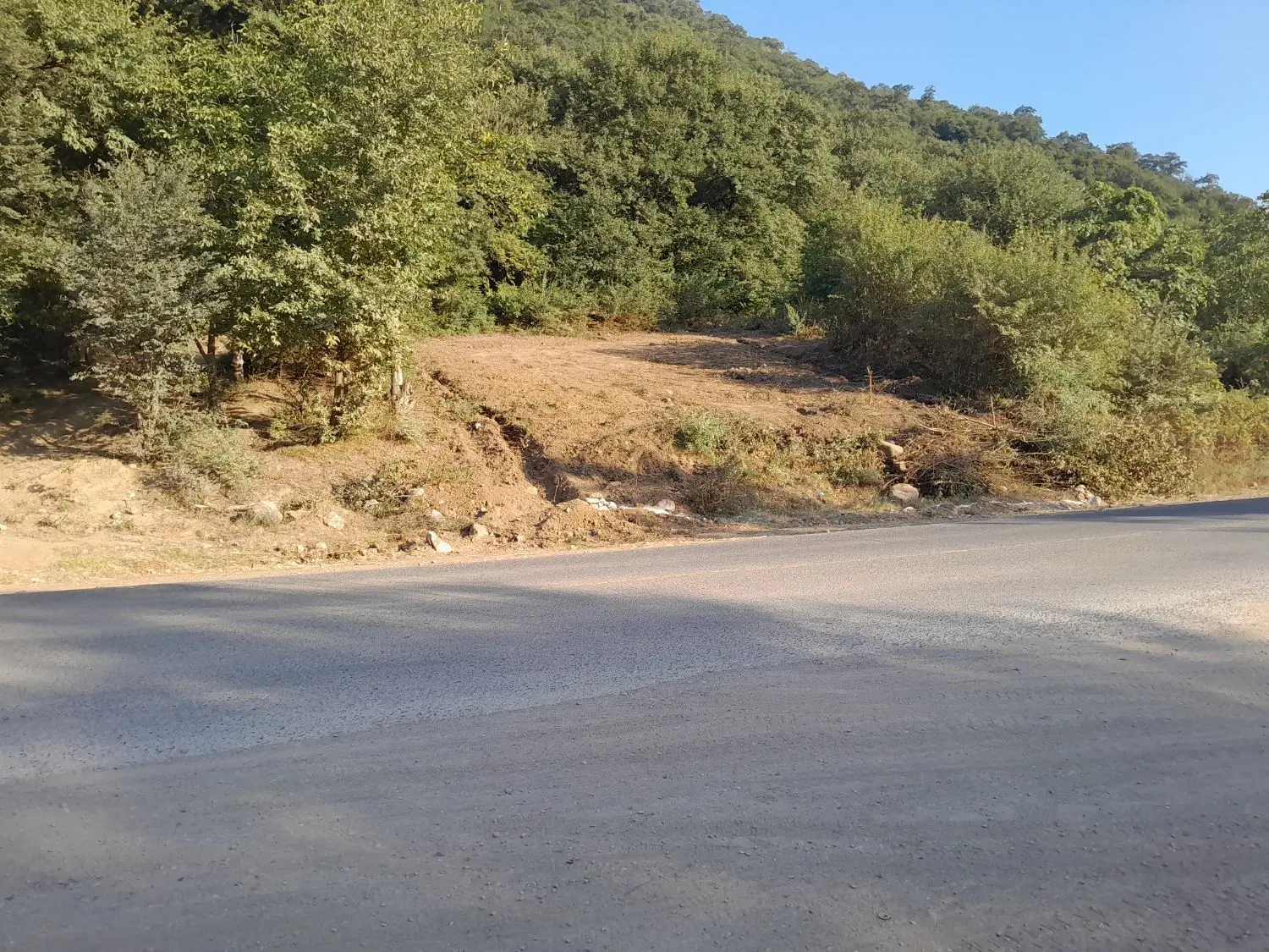 زمین باغی زراعی کشاورزی