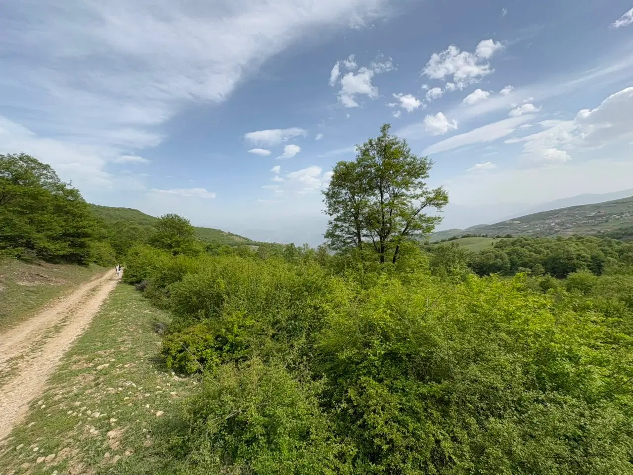 زمین فروشی درکلاردشت‌روستای کلنو