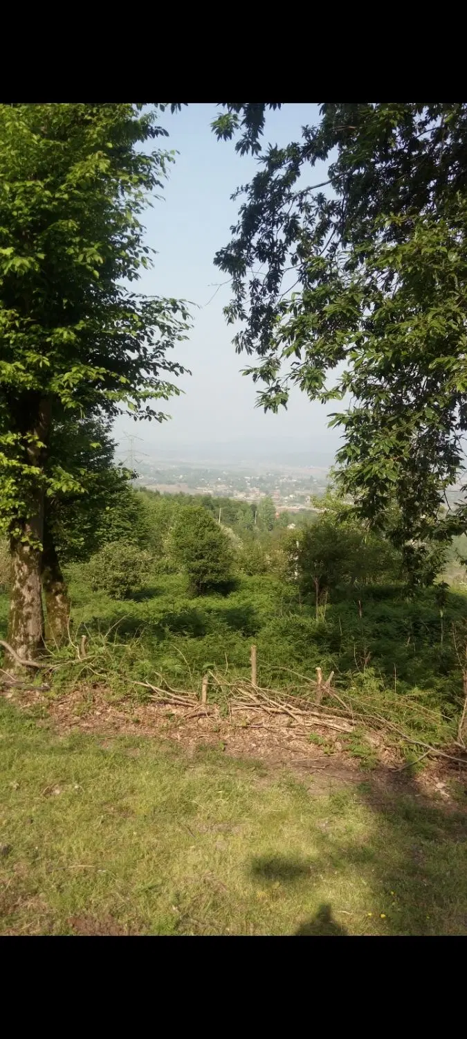 زمین