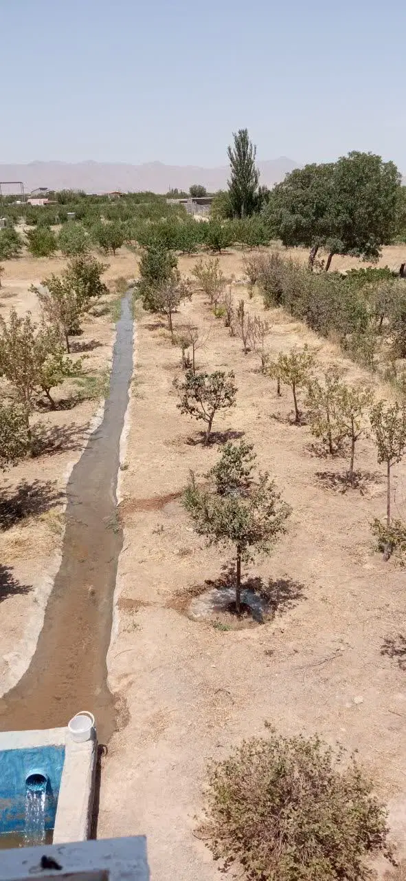 باغ مرزیجران