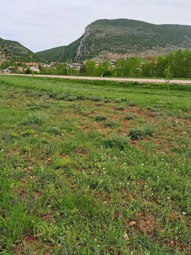 زمین فروشی در روستای سرخگریوه