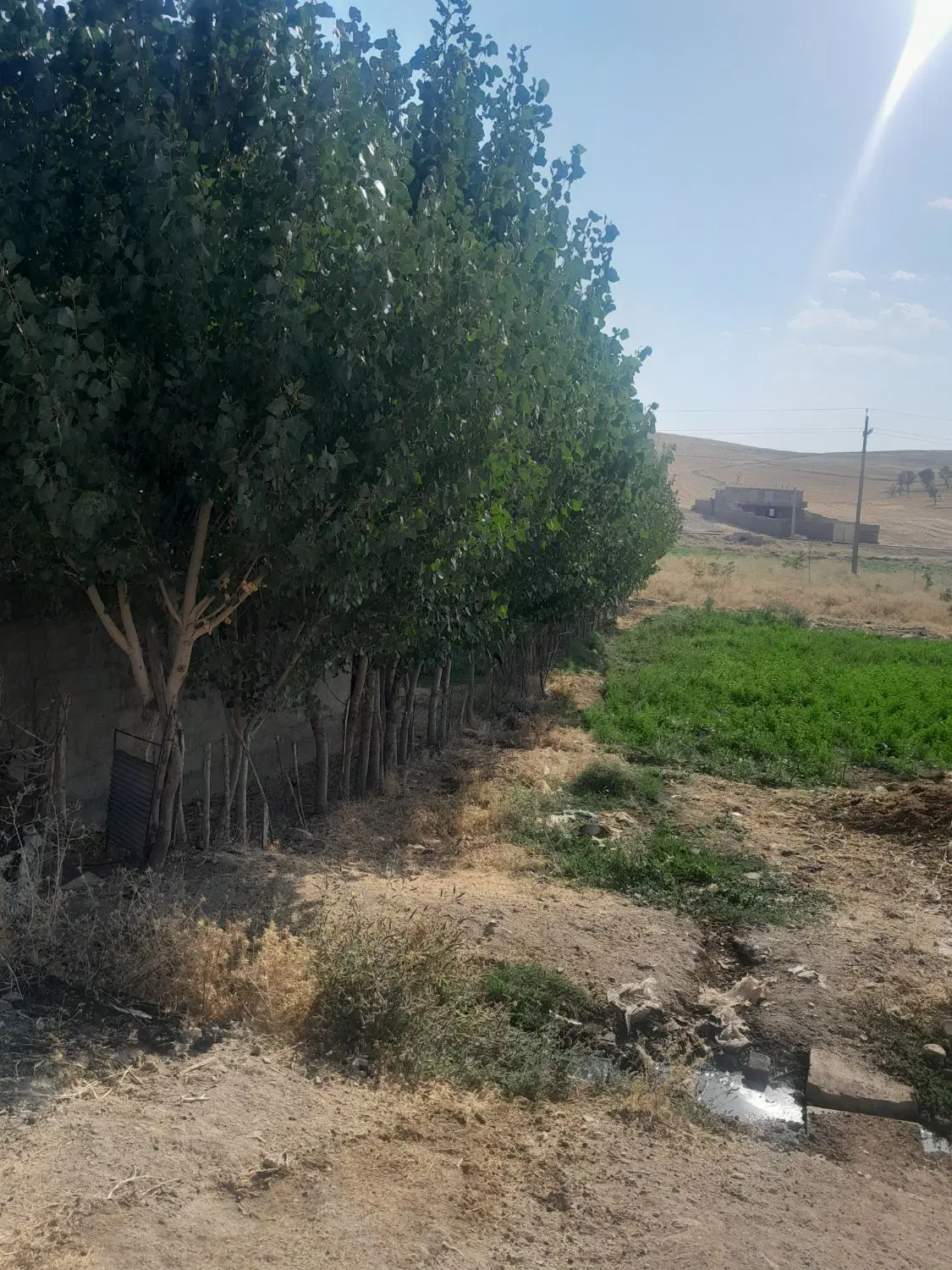 فروش زمین مسکونی