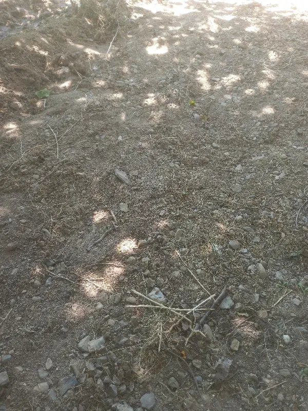 فروش زمین واقع در روستای خلیلوند(داخل روستا)