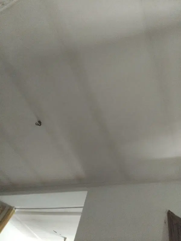 همخانه یا همخونه