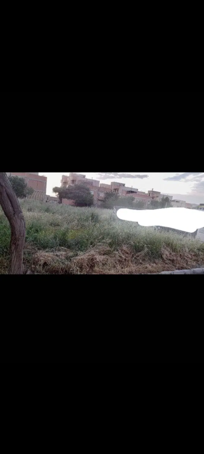 زمین تجاری