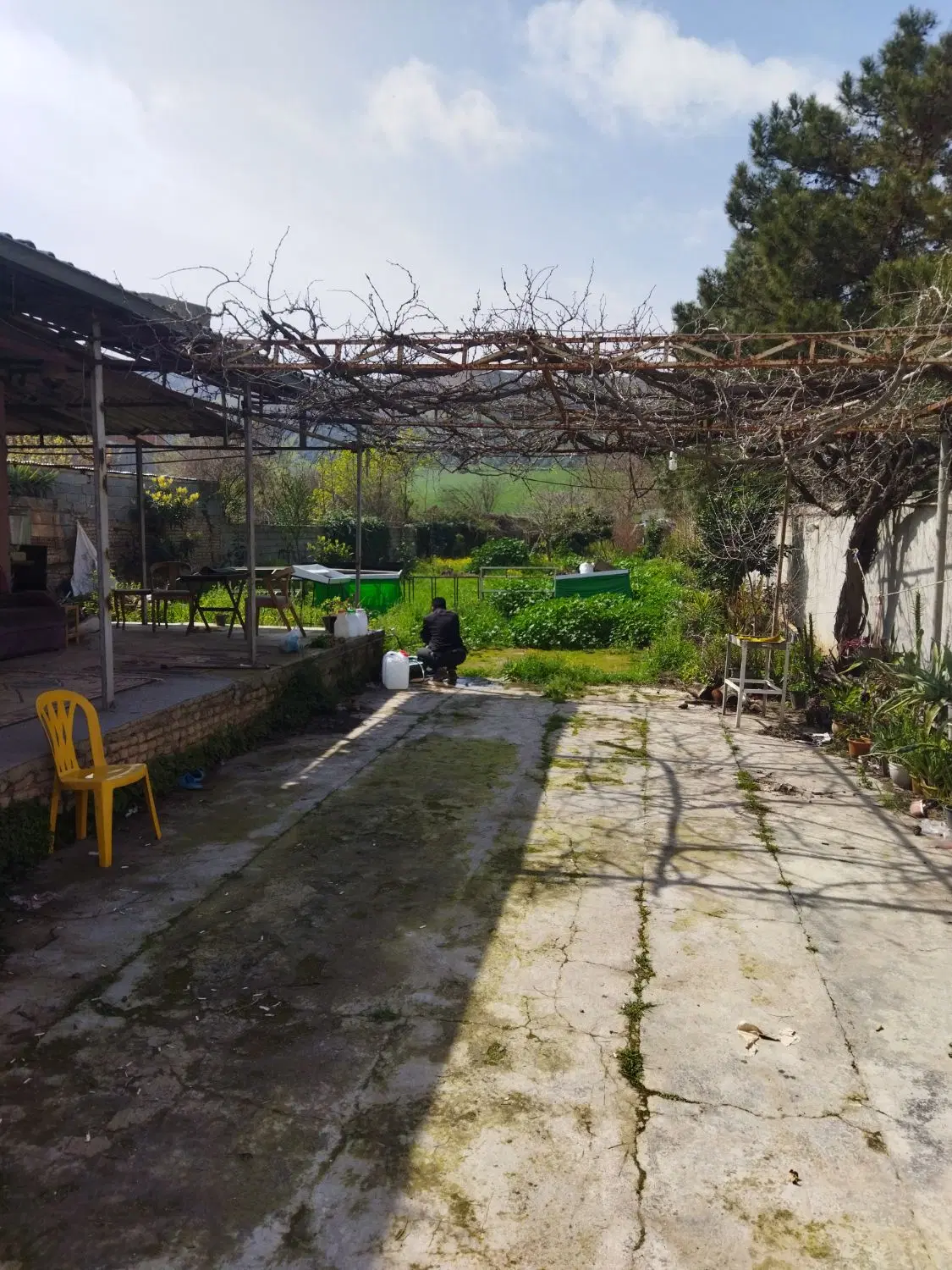 فروش زمین باغ ویلایی