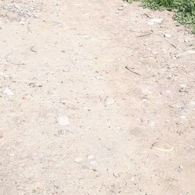 زمین کشاورزی،زیرچاه