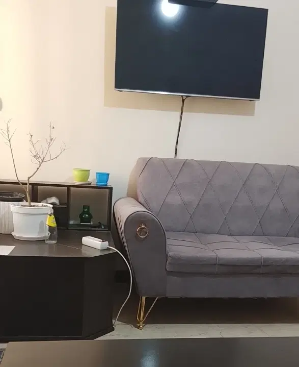 هم خانه میپذیرم