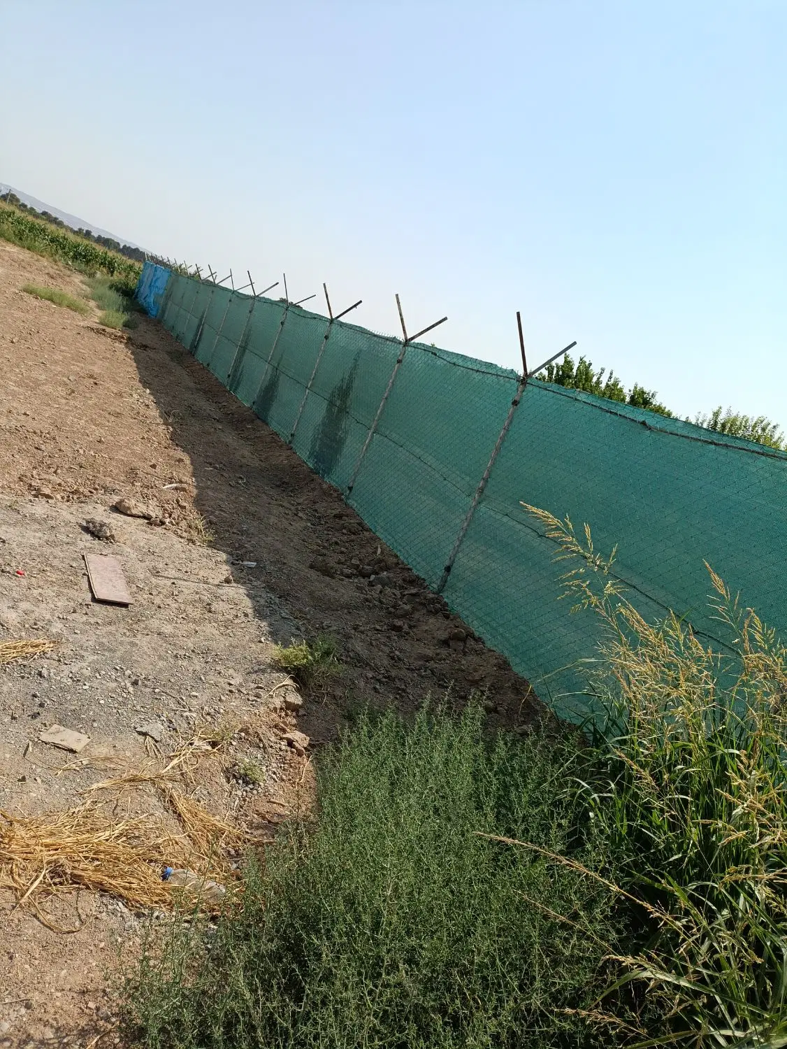 باغچه ۵۰۰ متری