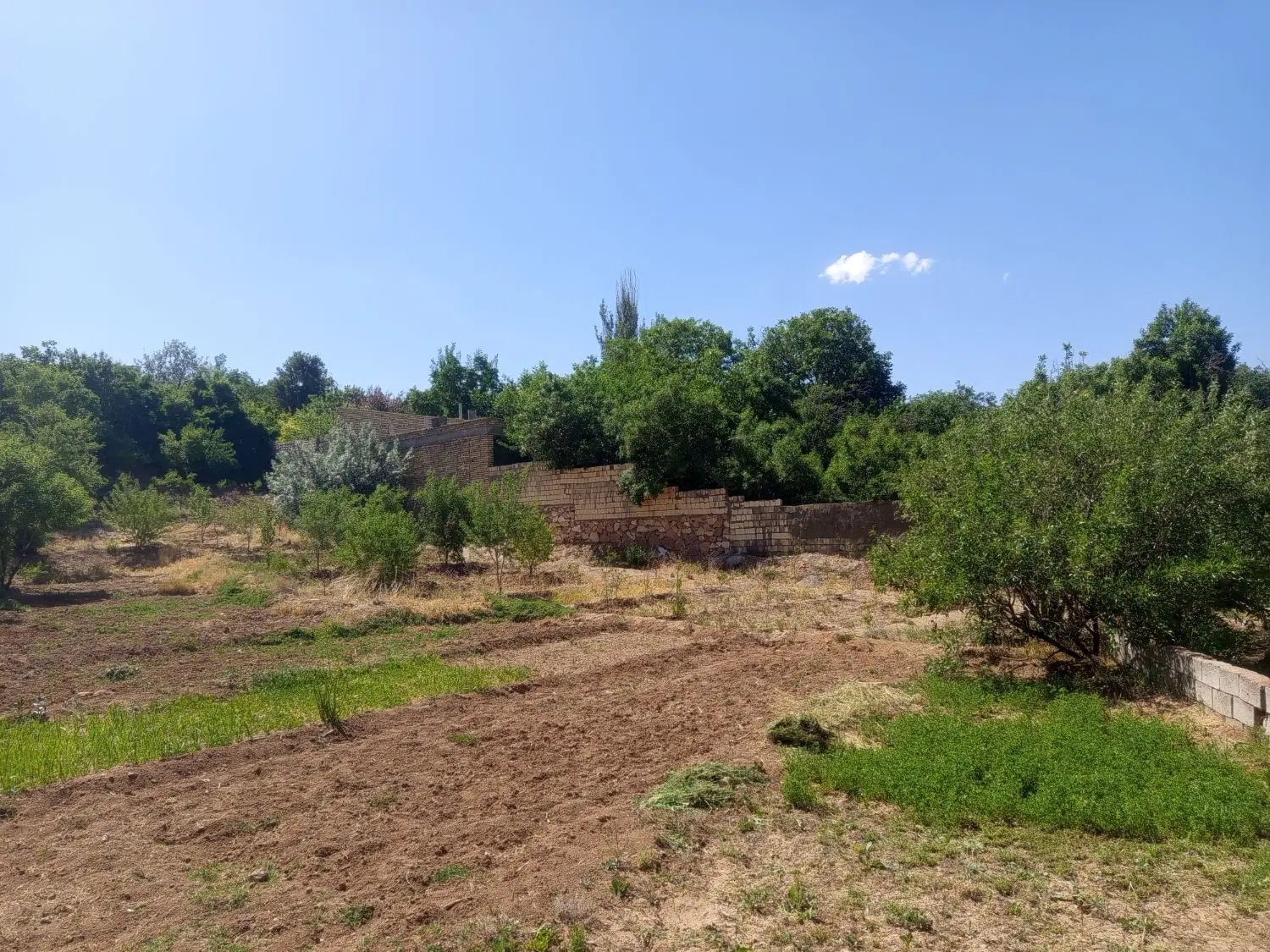 زمین علی آباد صدری