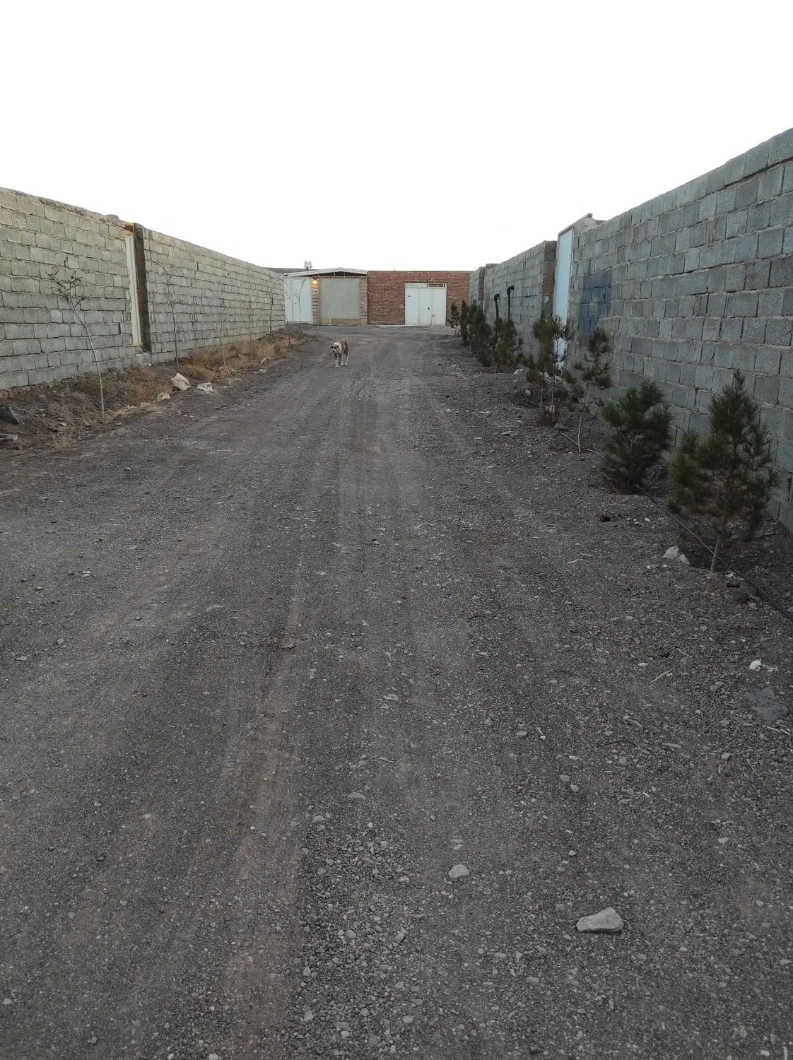 فروش زمین ویلایی
