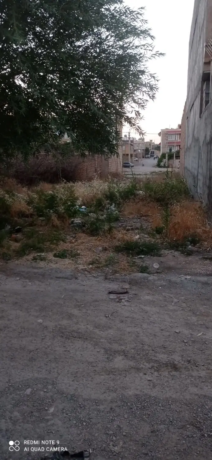 زمین