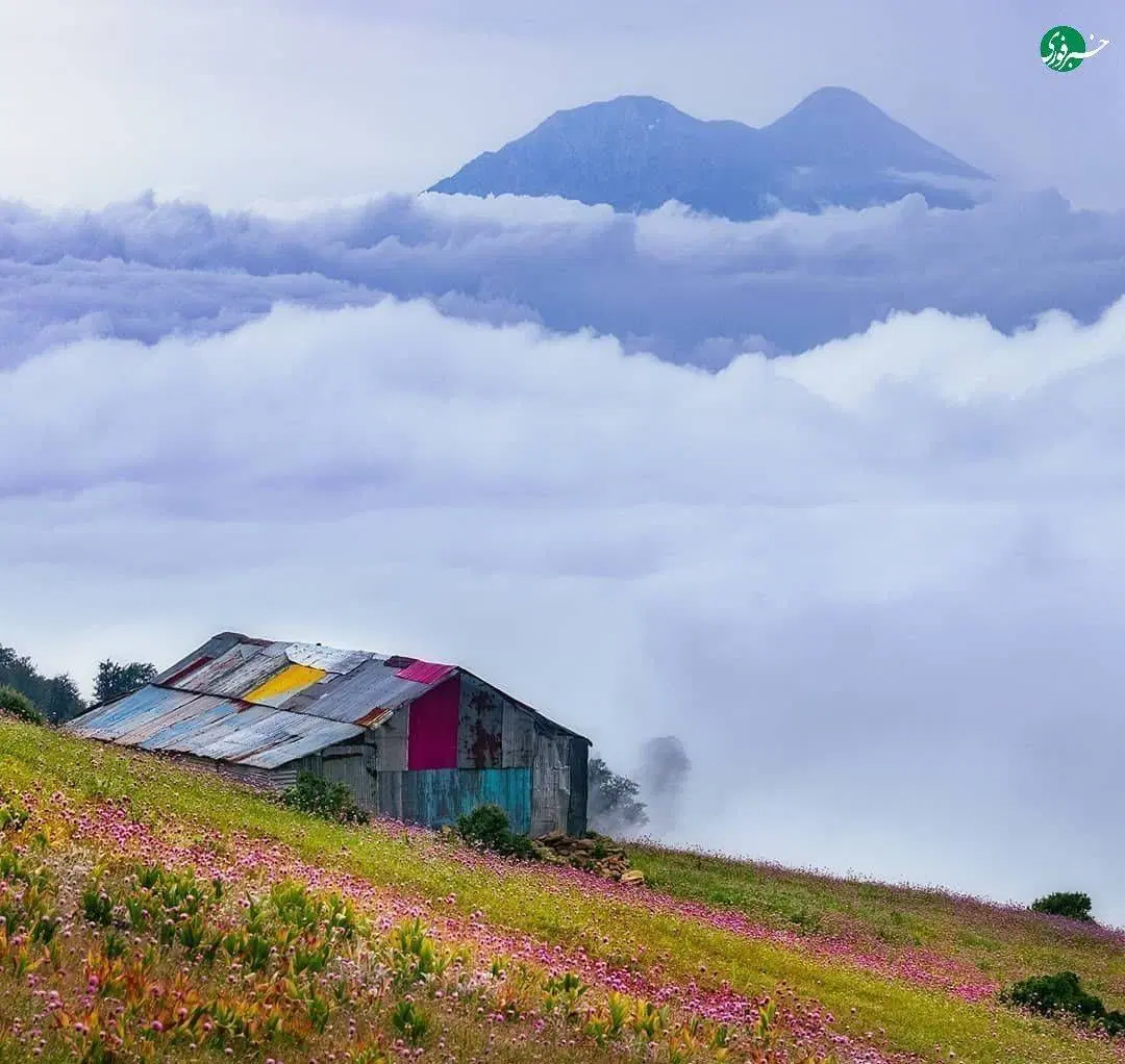 خانه برای مستاجر