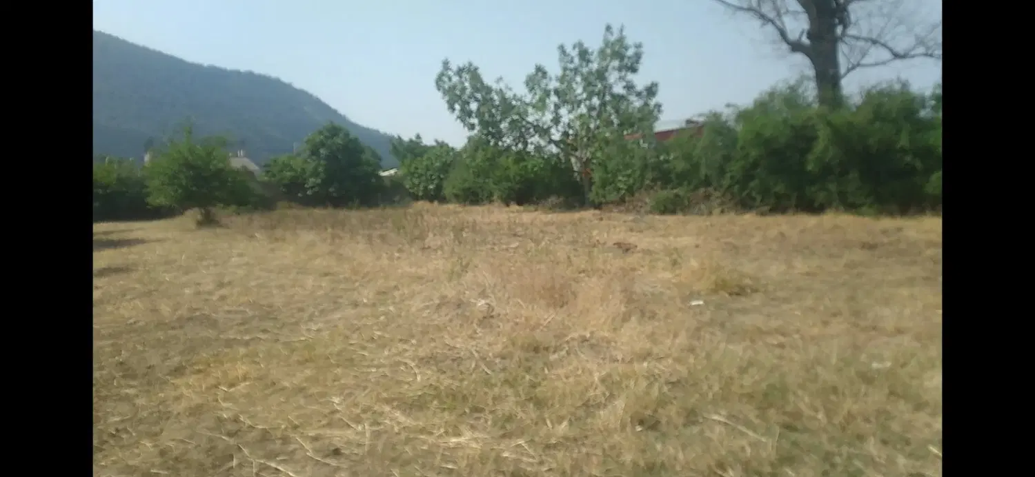 زمین مسکونی