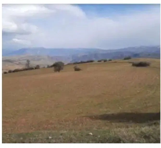زمین کشاورزی متری ۸۰